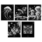 Тетрадь 48 л. (клетка) БиДжи Медуза Т5ск48 59405