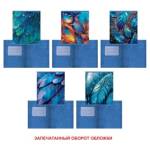 Тетрадь 48 л. (клетка) К-Э Сияние ТКЛ488735