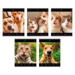 Тетрадь 48 л. (клетка) К-Э Зверо-селфи ТК489128