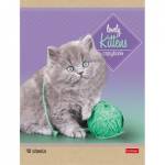 Тетрадь 48 л. (линия) Хатбер Котята 48Т5В2