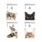 Блокнот А6 80 (спираль) ЕК Котики 54296