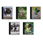 Тетрадь 48 л. (клетка) ErichKrause Энциклопедия. Птицы 59968