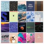 Тетрадь 48 л. (клетка) БиДжи Микс Супер-20 Т5ск48 62711