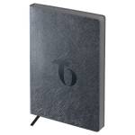 Ежедневник А6+ 176 л. BG Shine Iron DdА6+_09460 мягкий переплет 2026