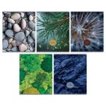 Тетрадь 48 л. (клетка) БиДжи Детали природы Т5ск48 62707 