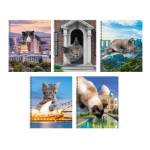 Тетрадь 60 л. (спираль линия) К-Э Коты в городе! ТС608567