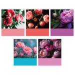 Тетрадь 48 л. (клетка) К-Э Цветочный сад ТК489108