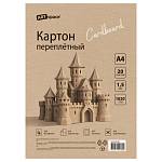 Картон переплетный А4 20 л.ArtSpace Пк20_06580