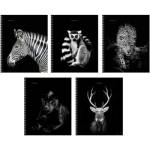 Тетрадь 96 л. (спираль) К-Э Прекрасные создания ТСФ968547