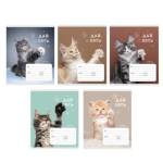 Тетрадь 24 л. (клетка) К-Э Дай пять! выб.лак ТКЛ248903