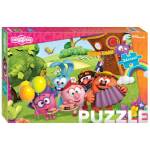 Пазлы 24 эл. МАХI Смешарики 90074