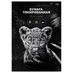 Бумага ксер. А4 50 л. 80 гр. БиДжи черный БТ50_59628 