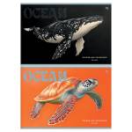 Альбом д\рис. 32 л. БиДжи Ocean АР4ск32 08618