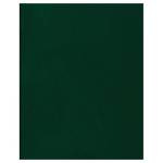 Тетрадь 96 л. (клетка) БиДжи бумвинил зеленый 12328  