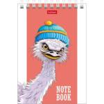 Блокнот 60 л. А6 (спираль) Хатбер Модные страусы 60Б6В1гр