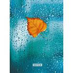 Книга для записей А4 160 л. К-Э Осенний лист КЗ41603716