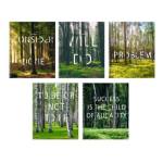 Тетрадь 48 л. (спираль) К-Э Done! мел.картон, твин-лак ТС2Л488453