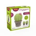Набор для вязания Цветущий кактус Miadolla AMG-0115