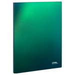 Папка с 20 карманами СТАММ ММ-31863 Хамелеон зеленый