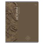 Тетрадь 48 л. (клетка) БиДжи Гармония знаний История soft-touch ТПск48_лс 62354 