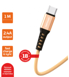 Кабель GoPower USB (m)-Type-C (m) 1.0м 2.4A нейлон золотой GP02T