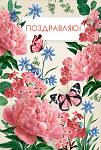 70000744 Открытка Поздравляю! А5 с текстом
