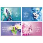 Альбом д\рис. 16 л. БиДжи Сказочная галерея мел.карт. АР4ск16_11811