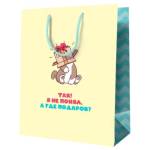 Пакет подарочный MESHU А где подарок? MS_52143