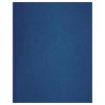 Тетрадь 96 л. (клетка) БиДжи бумвинил синий второй блок Т5бв96кЭ_12333