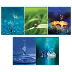 Тетрадь 48 л. (клетка) БиДжи Человечки Т5ск48 63535