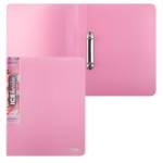 Папка с 2-мя кольцами 25 мм А4 Trend ICEberries Клубника EC211320073