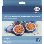 Карандаши цв. худож. 72 цв. Гамма Студия 100822_72