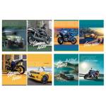 Тетрадь 96 л. (спираль) БиДжи Stay wild Т5гр96_2 9521