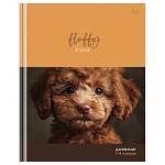 Дневник мл. кл. БиДжи Fluffy 7БЦ Д5т48_лм 64739