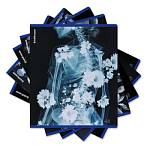 Тетрадь 48 л. (клетка) ErichKrause Flower Ray 63314